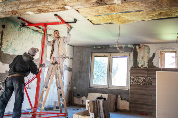 Best Insulation Maintenance and Repair in Berthoud, CO